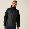 Hibridna jakna Regatta TRA 549