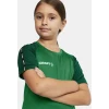 Otroška kontrastna športna srajca Craft TW Squad Go Contrast Jersey Jr