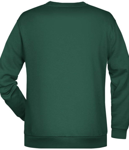 Moški pulover Raglan