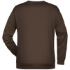 Moški pulover Raglan