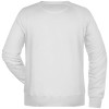 Moški pulover Raglan