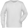 Moški pulover Raglan