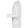 Moški pulover Raglan