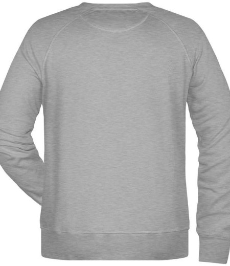 Moški pulover Raglan
