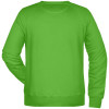 Moški pulover Raglan