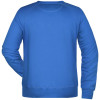 Moški pulover Raglan