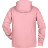 Moški pulover s kapuco Raglan