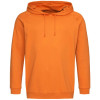 Lahek unisex pulover s kapuco
