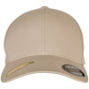 6 Panel Recycled Flexfit Cap