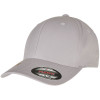 6 Panel Recycled Flexfit Cap