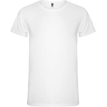 T MAJICA ROLY COLLIE